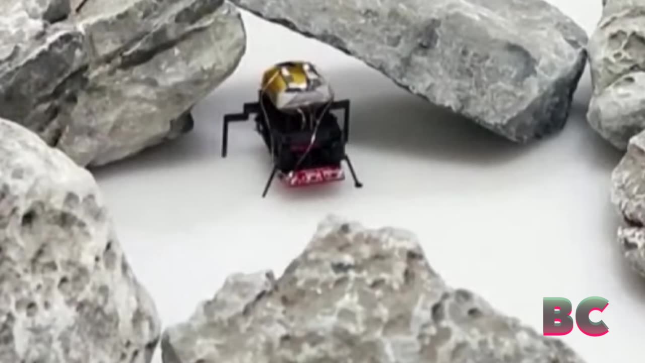 China’s tiny 15 mm robot sets new speed record