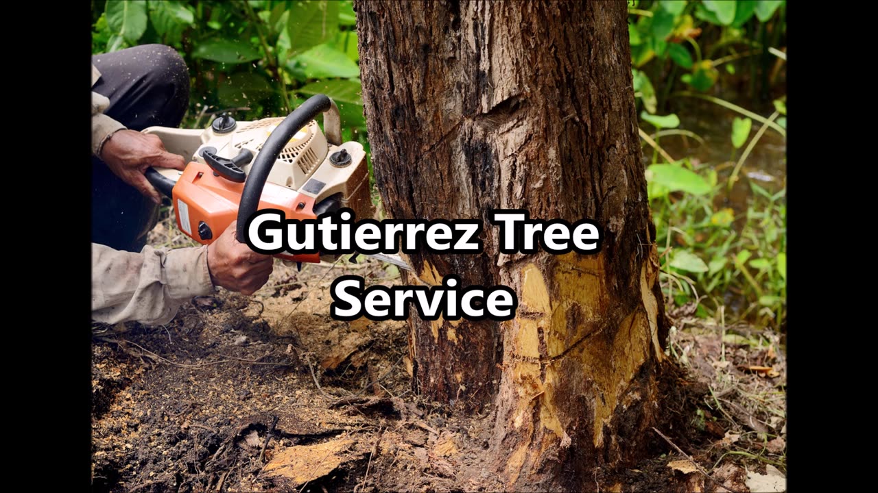 Gutierrez Tree Service