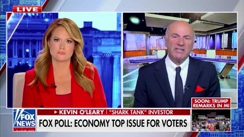 Kevin O'Leary Says Kamala Harris' Tax Plan Will Destroy The American Dream