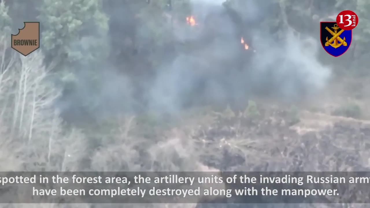 Russian artillerymen preparing for attack in Kherson forest SUBJECTED TO FIRE themselves