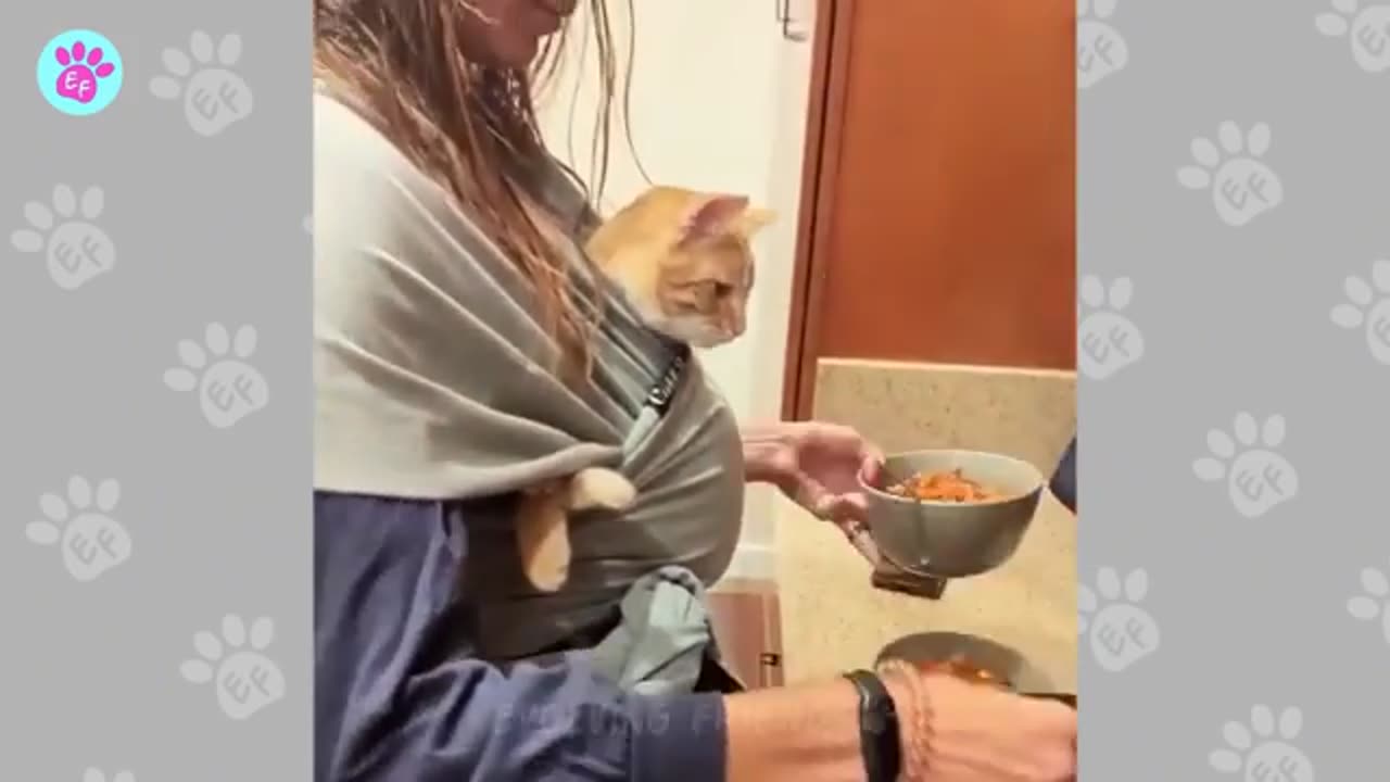 When your cat becomes a special friend ❤️ Cat and Human Moments