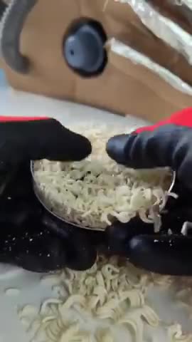 MAGI NOODLES DOG, MITE WANNA SKIP HAVING ANYMORE MITE MMMM 🥰🥰🤮🤮