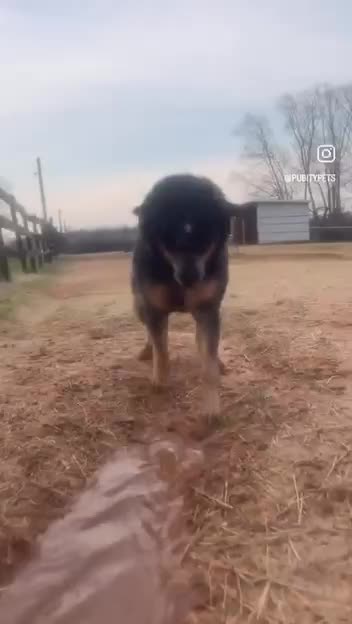 That’s a lot of excitement if you ask me 😂