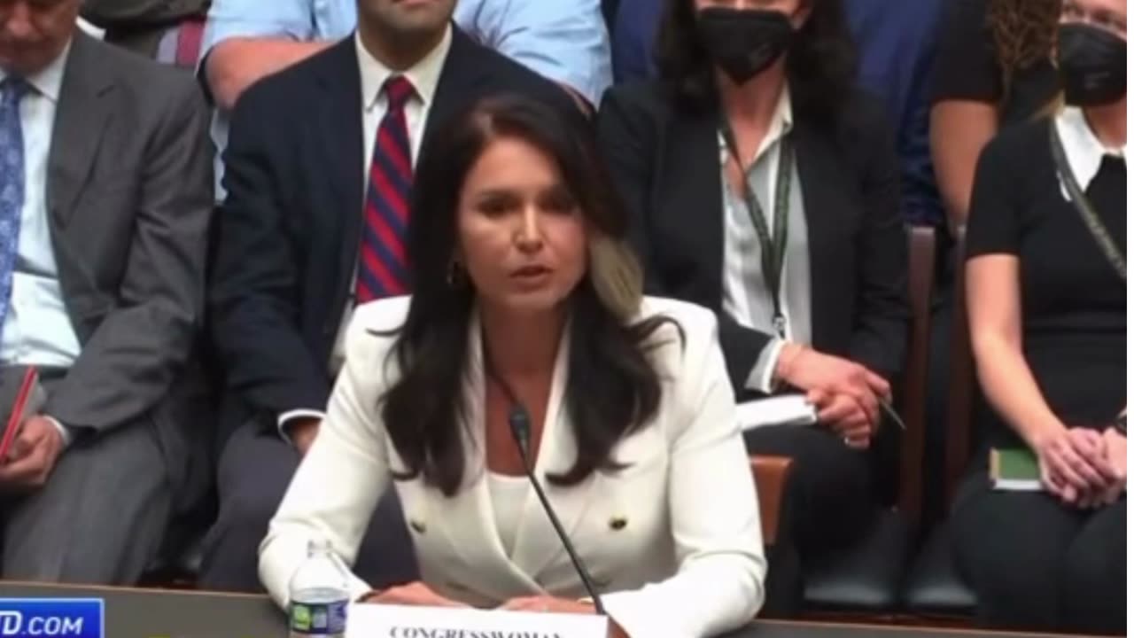 Tulsi Gabbard testimony: Government Think We are too Stupid to discern For ourselves