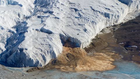Strange things found in antarctica
