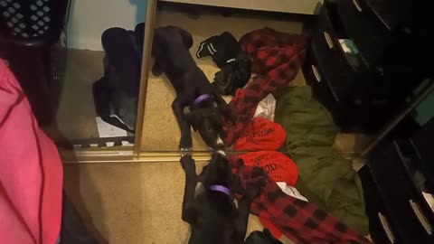 brought her home and she immediately went to war