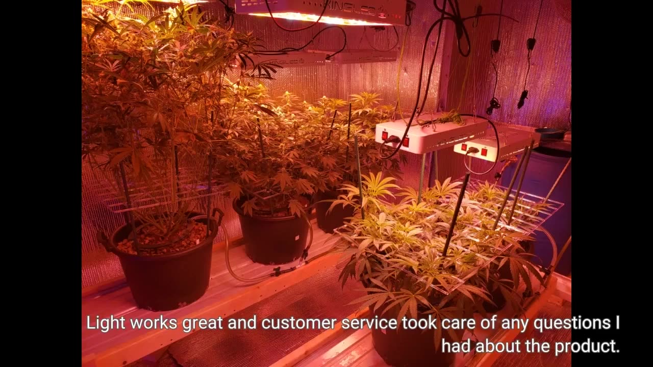 KingLED Newest 2000w LED #GrowLights with LM301B LEDs-Overview