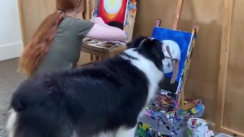 👀 It's amazing!! Dog draws pictures 🎨