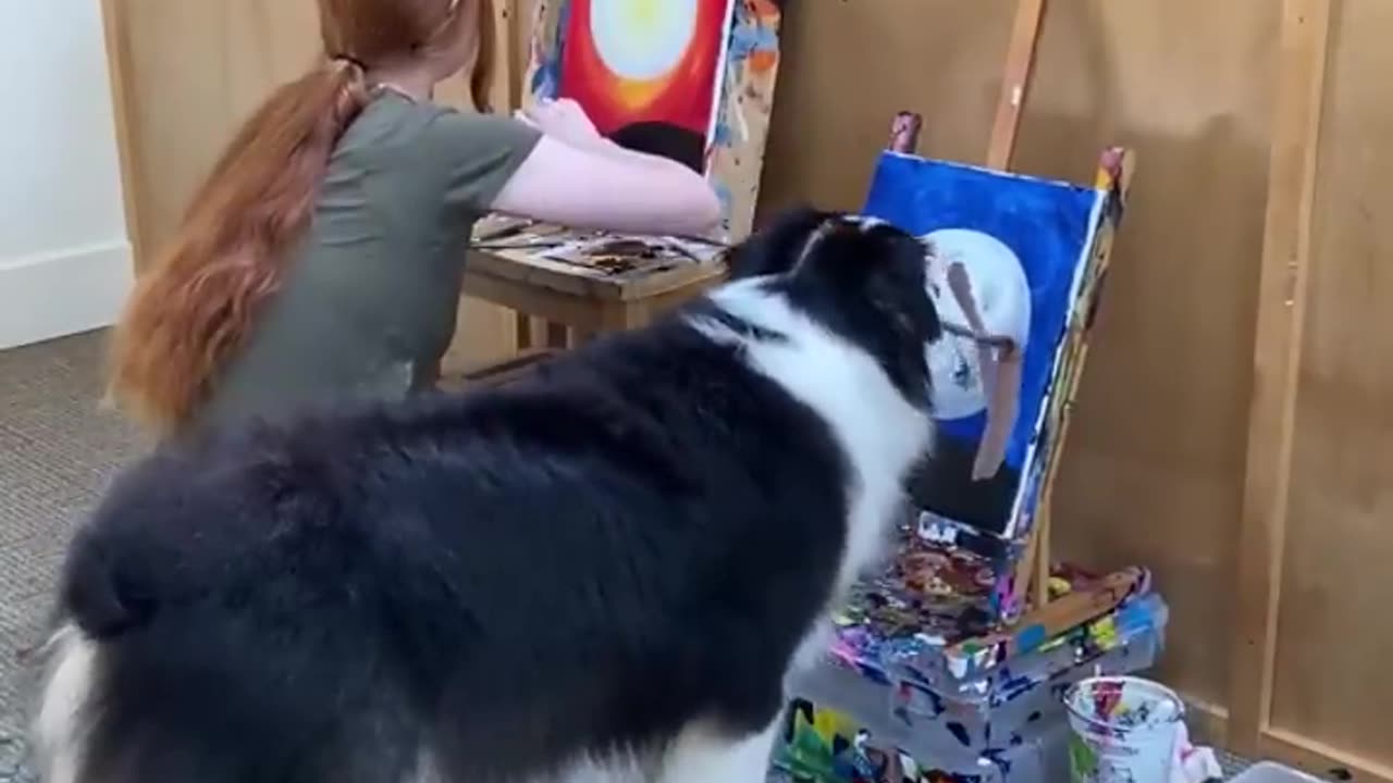 👀 It's amazing!! Dog draws pictures 🎨