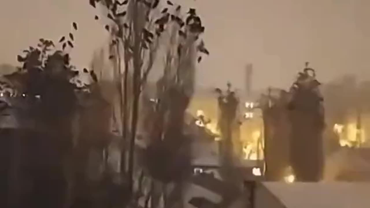 Birds acting weird just before the earthquake in Turkey