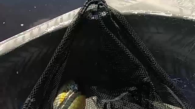 ¿Qué haces con un regalo como este?