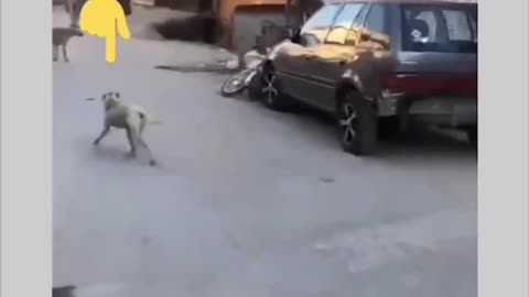 The last one got me dead.