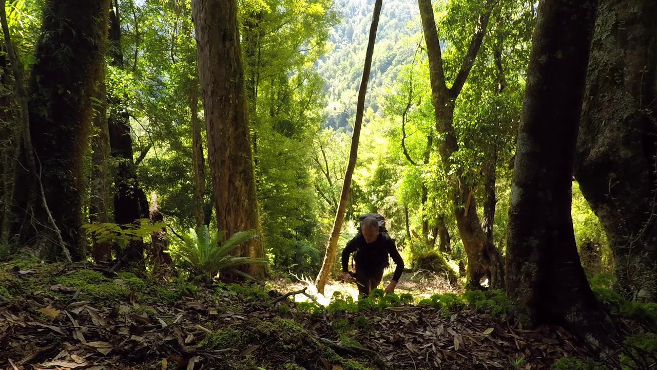 Otane Bivy deer hunt NZ