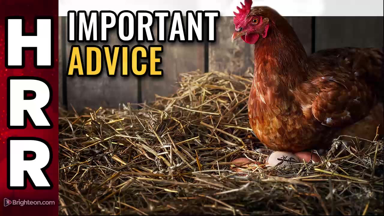 Important advice for those getting chickens for the first time