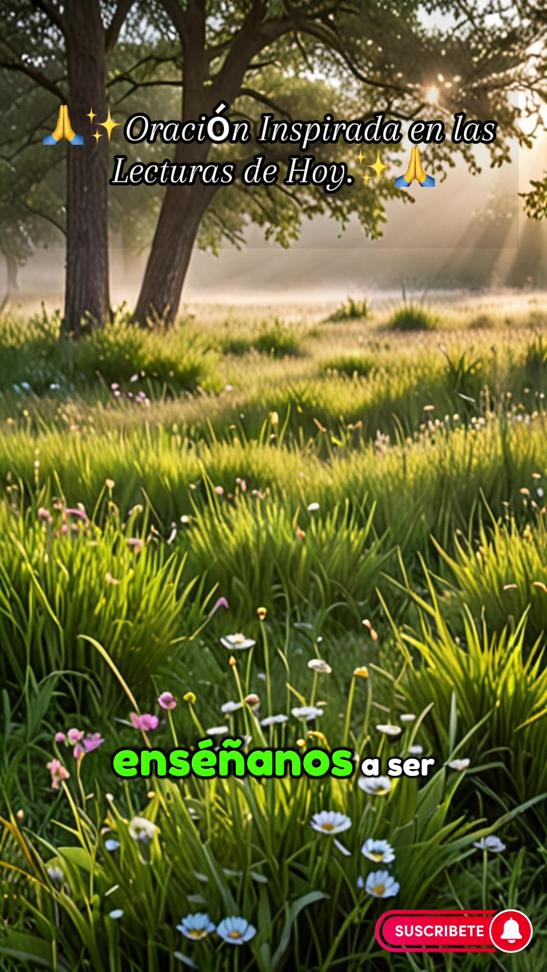 🙏✨Oración Inspirada en las Lecturas de Hoy.✨🙏