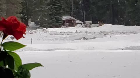 Slo mo snow