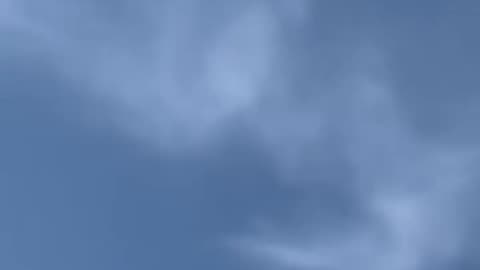 Matt...