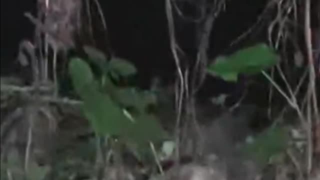 Ghost on camera paranormal activity part 17