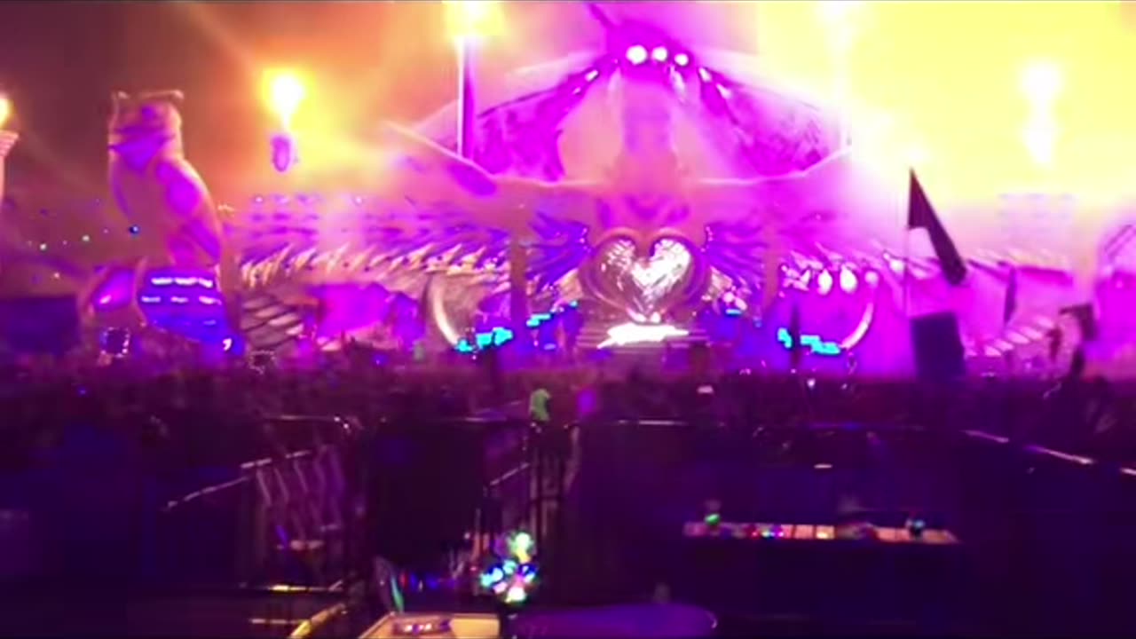 Stephen Gray Gravy EDC TV show all VIP access plus got paid a bundle. Great gig
