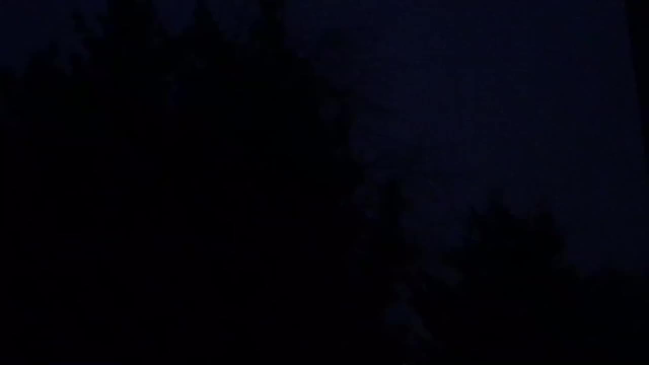 Morning Chorus