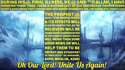 How Muslims treat the poor during Coronavirus - Allah and Muhammad SAW in my Dreams
