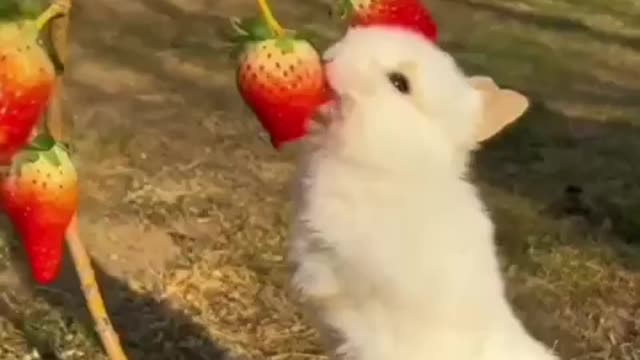 when i eat my favourite food so please don't disturb me 😂😂😂😂