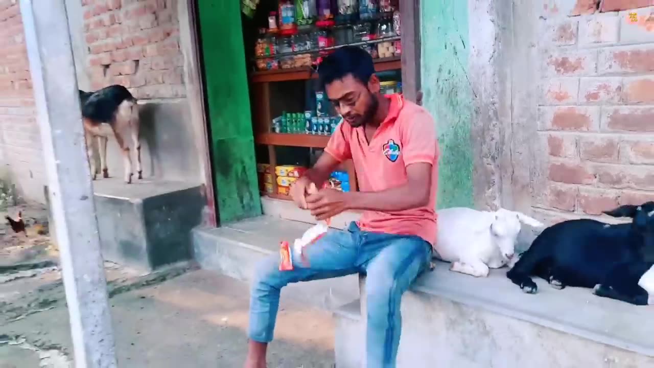 Top New Funniest Comedy Video 😂 Most Watch Viral Funny Video 2023 Episode 84 By@palligramtv11 lol