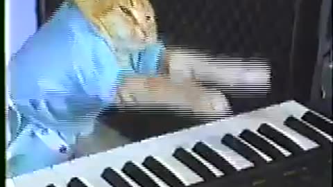 Keyboard Cat!