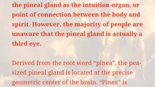 Did you know this about the heart, pineal gland, brain and eyes?