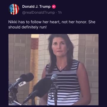 Trump Says Nikki Haley Should Run!