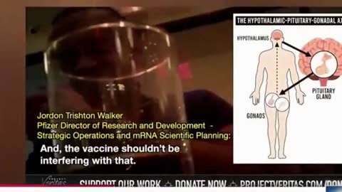 COVID VACCINE - "DEVASTATING SIDE EFFECTS ON WOMEN"