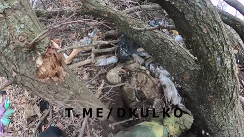 Welcome to Nato Sweden