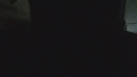 February 11, 2023