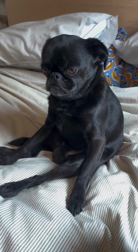 Me usually on the weekend 😂😂