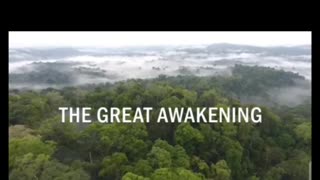 THE GREAT AWAKENING VIDEO 📹 🤯