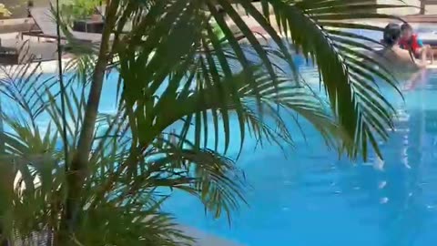 License to Chill