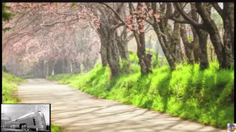 Relaxing Music Sleep Music Soothing Piano Music, Sleeping Music
