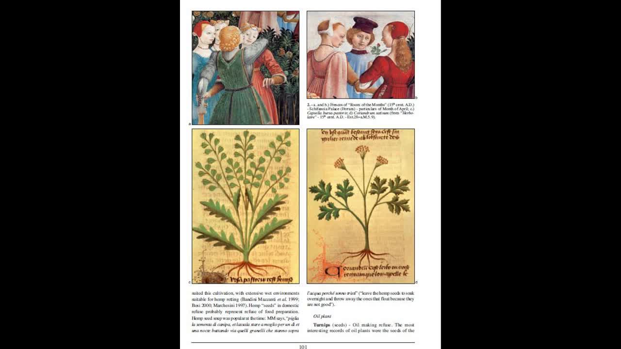 Renaissance Plants part 1 The Four Pits