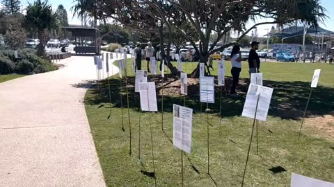 COOLUM (Ausztrália) - akik nem élték túl az injekciót