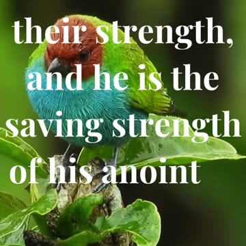 The LORD is their strength, and he is the saving strength of his anointed