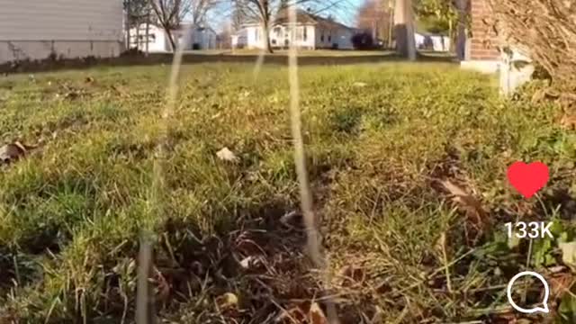 Just Trekking Around