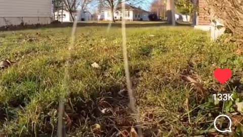 Just Trekking Around