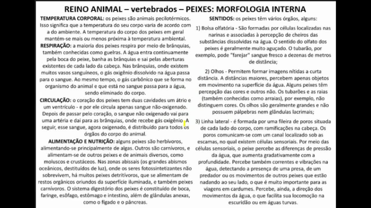 Seres Vivos: Vertebrados - Peixes - MinhaEscolaWeb