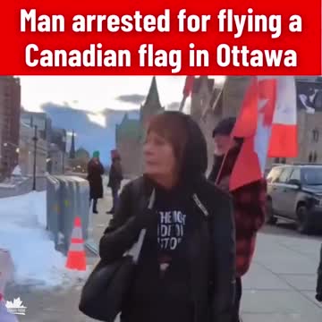 Parliamentary Protective Service detains man for flying Canadian flag
