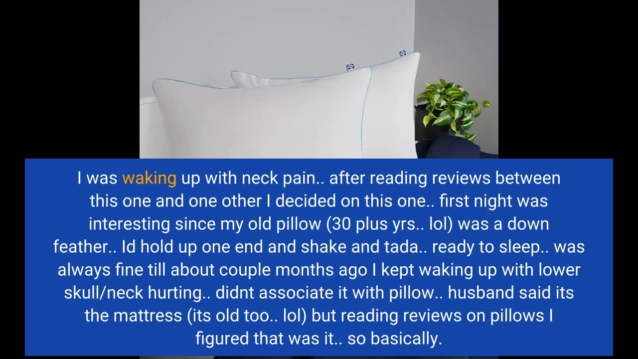 Sealy Slumber Bed #Pillows for Sleeping - Standard-Overview