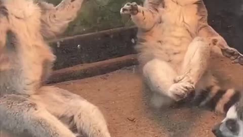 Meditating