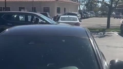 Woman Loses It, Plays Demolition Derby In Orange County Business' Parking Lot