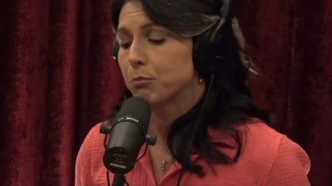 Tulsi Gabbard and Joe rogan ON TIKTOK ban