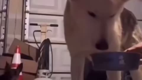 Fun clip 10