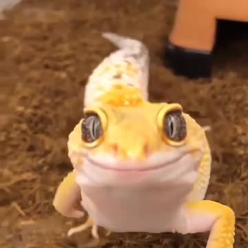 Nothing but love and admiration in those eyes